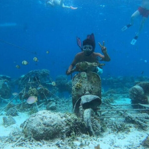 SNORKLING (1)
