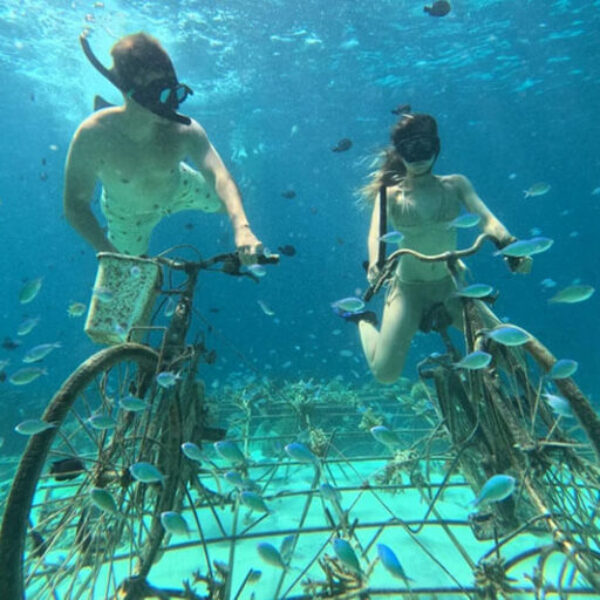 SNORKLING (2)